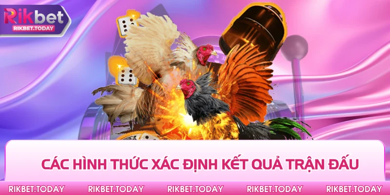 Trực Tiếp Đá Gà Thomo - Giải Trí Trực Tuyến Hàng Đầu Hiện Nay 3 Các hình thức xác định kết quả trận đấu