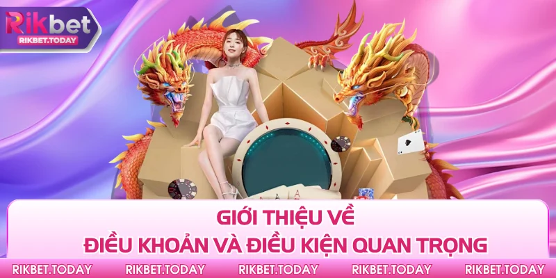 Điều Khoản Và Điều Kiện 1 Giới thiệu về điều khoản và điều kiện quan trọng