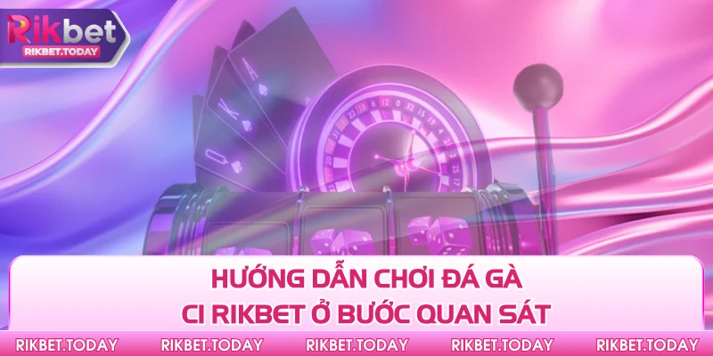 Hướng Dẫn Chơi Đá Gà C1 Rikbet Dễ - Ăn Tiền Cực Khủng 4 Hướng dẫn chơi đá gà C1 Rikbet ở bước quan sát