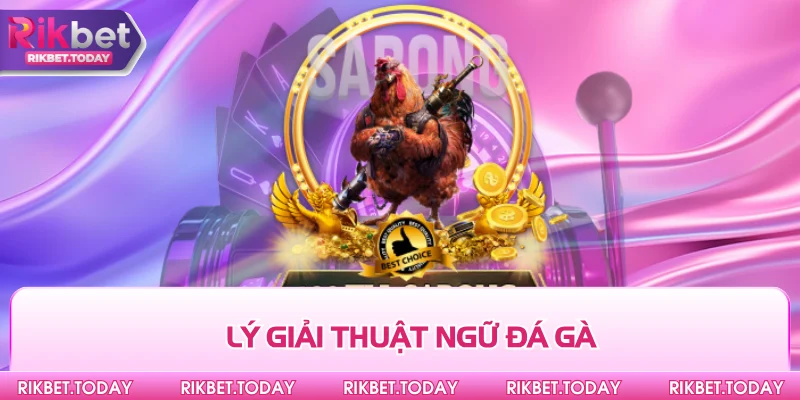 Thuật Ngữ Đá Gà Chuẩn - Giúp Bạn Bắt Kèo Cực Chuẩn 2 Lý giải thuật ngữ đá gà