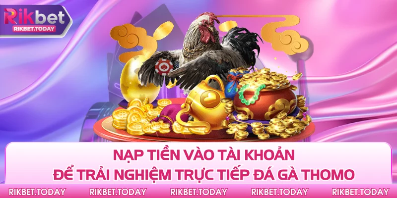 Trực Tiếp Đá Gà Thomo - Giải Trí Trực Tuyến Hàng Đầu Hiện Nay 4 Nạp tiền vào tài khoản để trải nghiệm trực tiếp đá gà Thomo