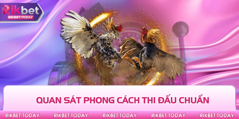 Thuật Ngữ Đá Gà Chuẩn - Giúp Bạn Bắt Kèo Cực Chuẩn 3 Quan sát phong cách thi đấu chuẩn
