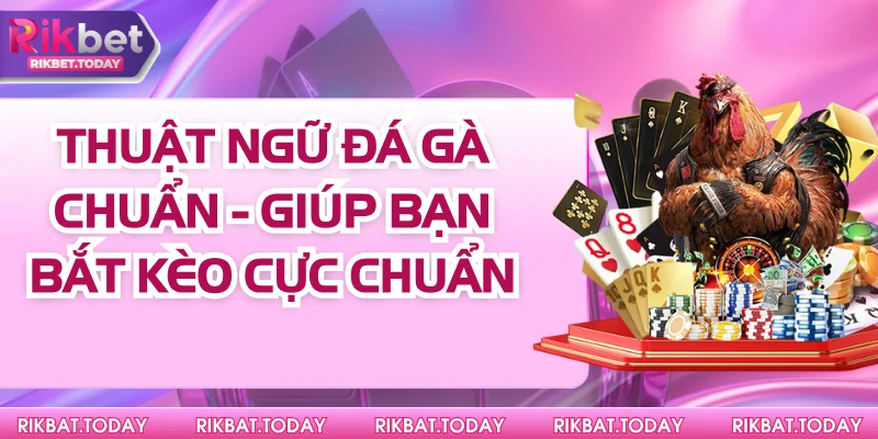 Thuật Ngữ Đá Gà
